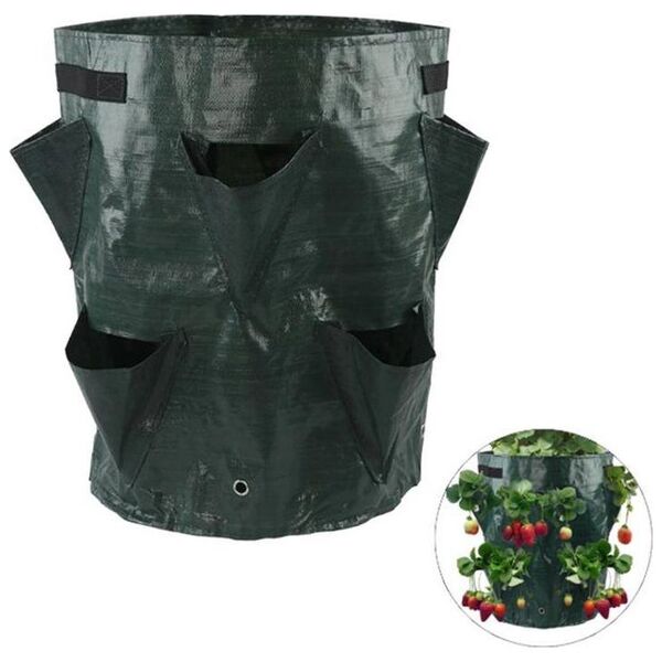 CreativeHome TORBA DO SADZENIA I UPRAWY TRUSKAWEK 17cm