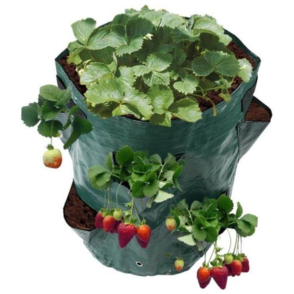CreativeHome TORBA DO SADZENIA I UPRAWY TRUSKAWEK 17cm