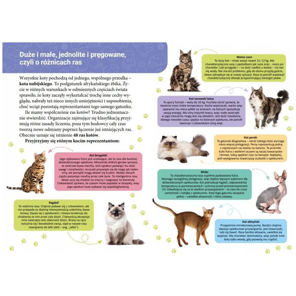 Mała encyklopedia Koty 77322 