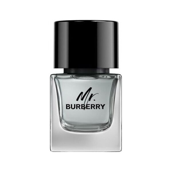 Burberry BURBERRY Mr. Burberry EDT spray 50ml