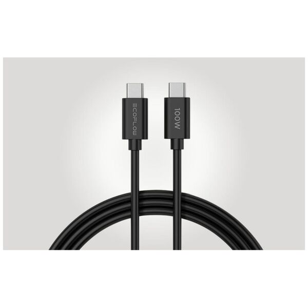 Ładowarka sieciowa EcoFlow GaN RAPID, 65W