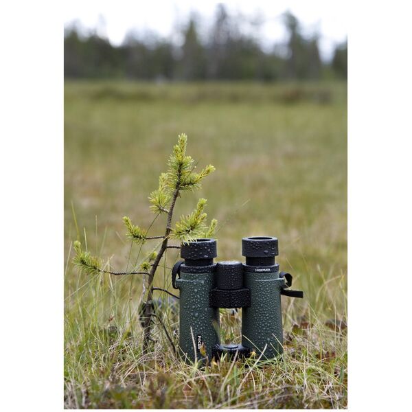 Focus Observer 8x50 HD