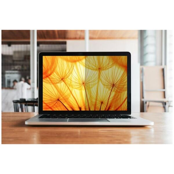 Filtr 3M 3M Bright Screen Privacy Filter for 17.3in, 16:9, BP173W9B