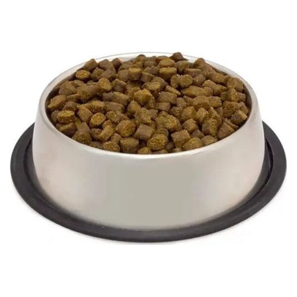 Arquivet Fresh Senior 10 kg
