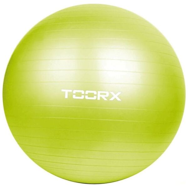 Toorx Gimnast. αντλία kamuolys 65cm TOORX AHF-012 su 13358258 8029975990460