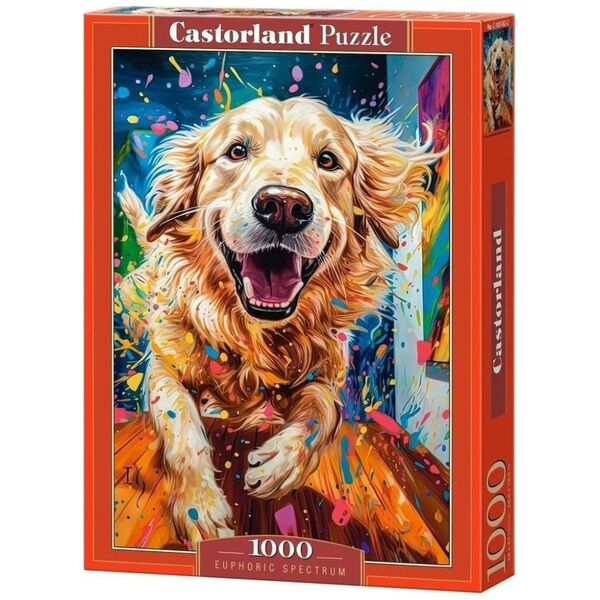 Castorland Puzzle 1000 Euphoric Spectrum CASTOR 13896822 5904438105182