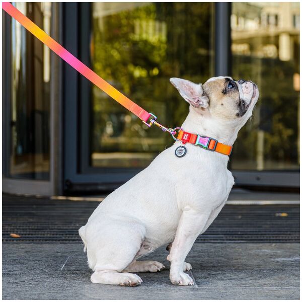 Collar Smycz dla psa nylonowa WAUDOG gradient, dł. 122 cm, pomarańczowa