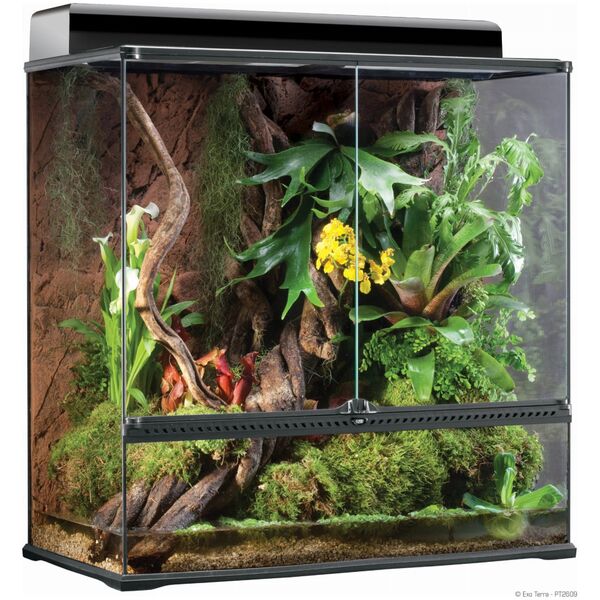 Exo Terra Paludarium szklane MEDIUM,60x45x90cm