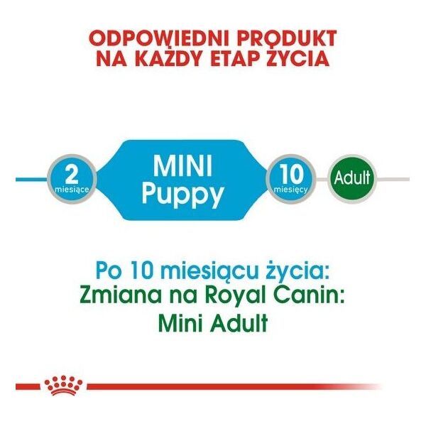 Royal Canin Royal Canin Mini Puppy karma mokra dla szczeniąt, od 2 do 10 miesiąca życia, ras małych saszetka 85g