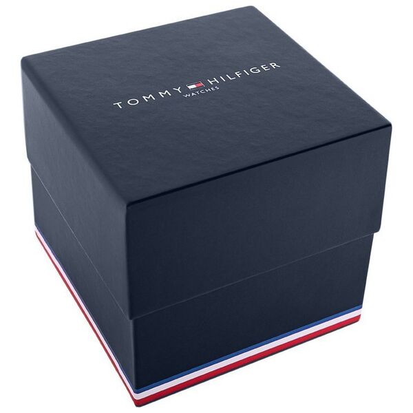 Zegarek Męski Tommy Hilfiger Ashton 1791740 + BOX