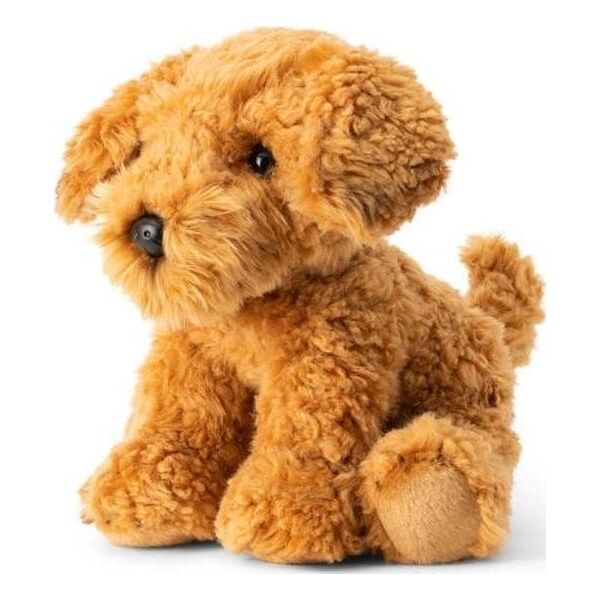 Pies Cockapoo