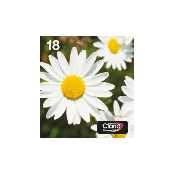 Tusz Epson Tusze T1806 4-Pack 15.1 ml CMYK (C13T18064511)