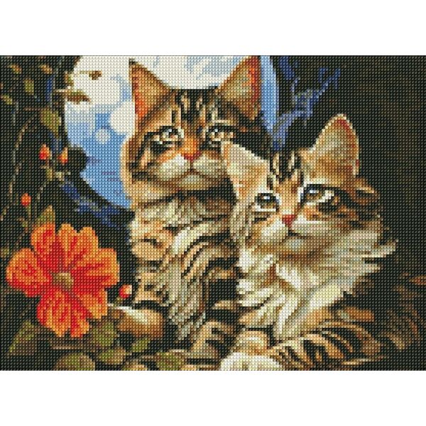 Norimpex Diamentowa mozaika - Magiczne kocięta 30x40cm