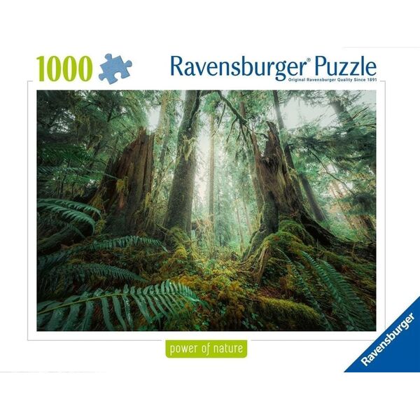 Ravensburger Puzzle 1000 Lasy
