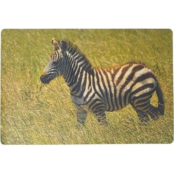 Podkładka na biurko piankowa zebra 60x40cm EDUKAMP