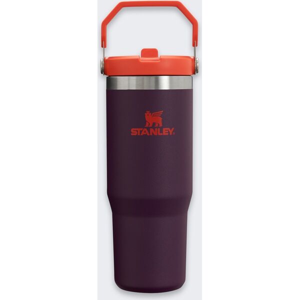 Stanley The IceFlow Flip Straw Tumbler 0 89L violeta