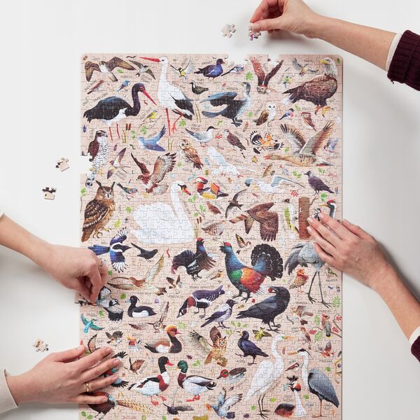 Puzzlove CzuCzu Ptaki 1000el