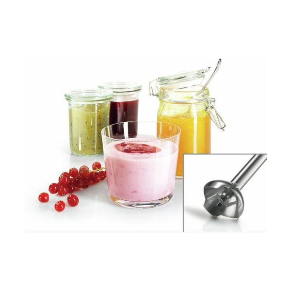 Blender Bosch MSM2620B