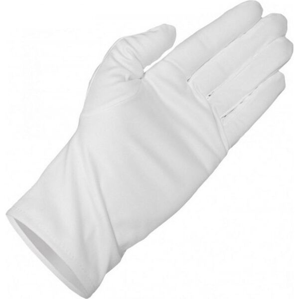 Big BIG microfibre gloves L 2 pairs (425394)