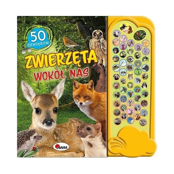 Morex 50 Dźwięków Zwierzęta wokół nas 58.11.1. 12160