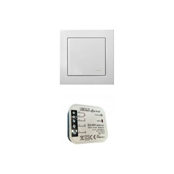 Liregus WIRELESS SWITCH (RJ-314)