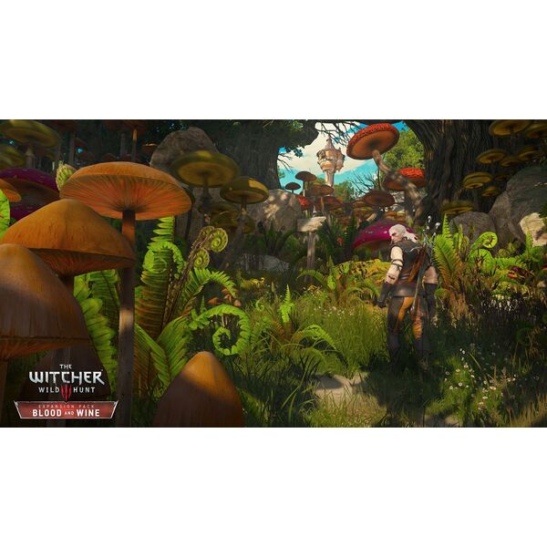 Wiedźmin 3: Dziki Gon - Edycja Gry Roku PS4