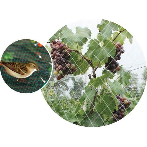 vidaXL Green>it® fuglenet 15×15 mm x 4×5 meter