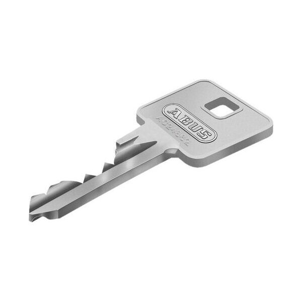 Synology CYLINDER 50X60MM MAT NICK 3 KEYS