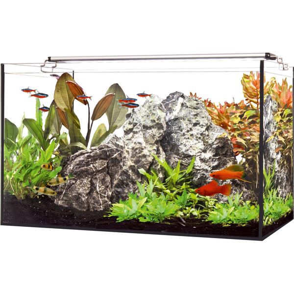 Happet HapPet LED Plant 150