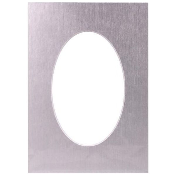 Passepartout 30x40, platinum oval