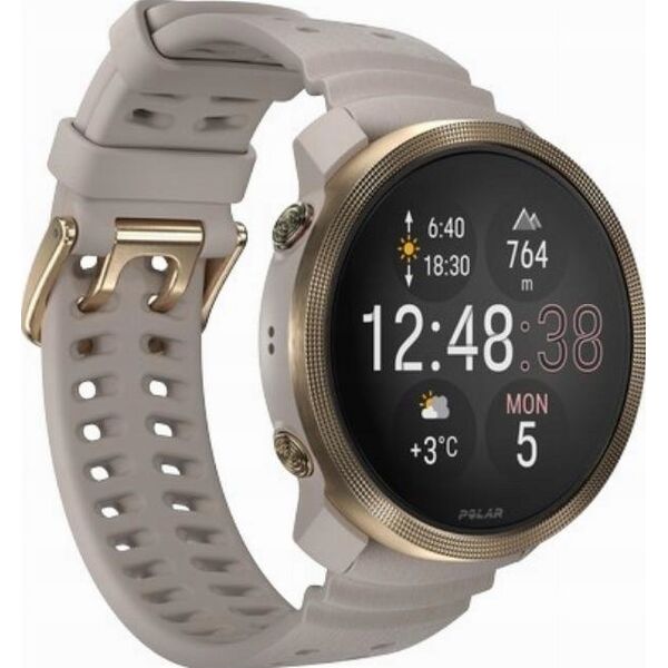 Zegarek sportowy Hama Polar Vantage M3 szaro-złoty S-L