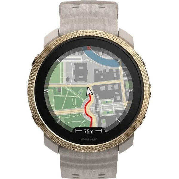 Zegarek sportowy Hama Polar Vantage M3 szaro-złoty S-L
