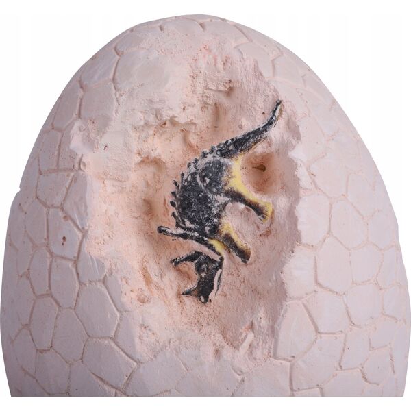 Norimpex *****Skamielina jajo dinozaura 1007994