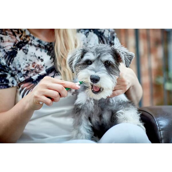 VETS BEST DENTAL GEL+ΟΔΟΝΤΟΒΟΥΡΤΣΑ