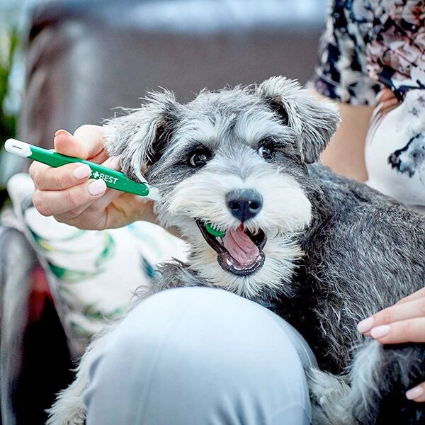 VETS BEST DENTAL GEL+ΟΔΟΝΤΟΒΟΥΡΤΣΑ