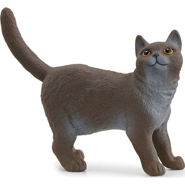 Figurka Schleich Schleich 13973 Kot brytyjski króktowłosy