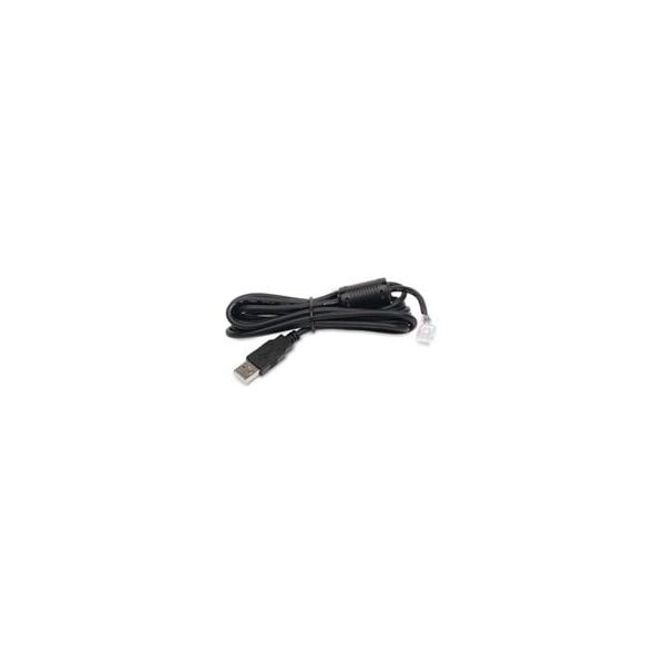 Kabel USB APC USB-A - RJ-45 1.8 m Czarny (AP9827)