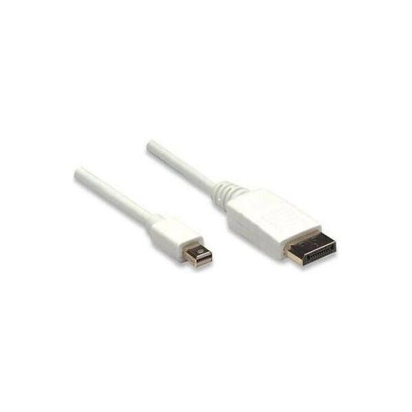 Kabel Techly DisplayPort Mini - DisplayPort 2m biały (304819)