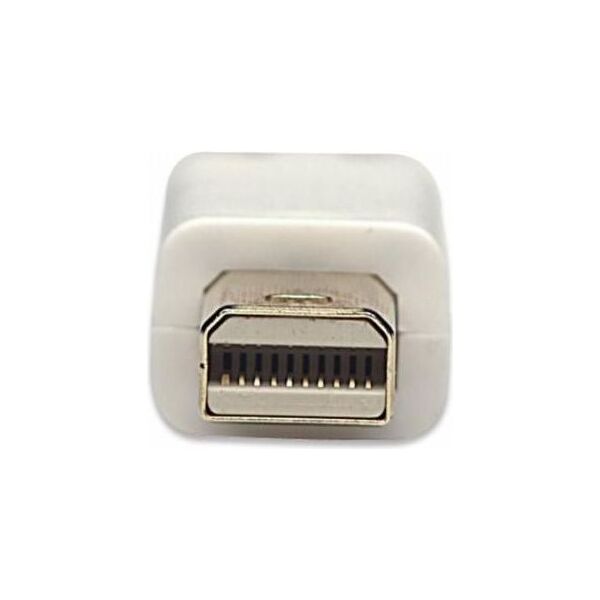 Kabel Techly DisplayPort Mini - DisplayPort 2m biały (304819)