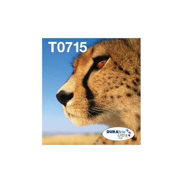 Tusz Epson Tusz T071 4 Pack CMYK (C13T07154511)