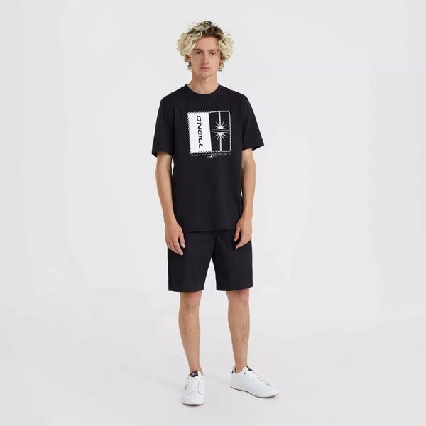 O Neill Męskie Szorty ESSENTIALS CHINO SHORTS