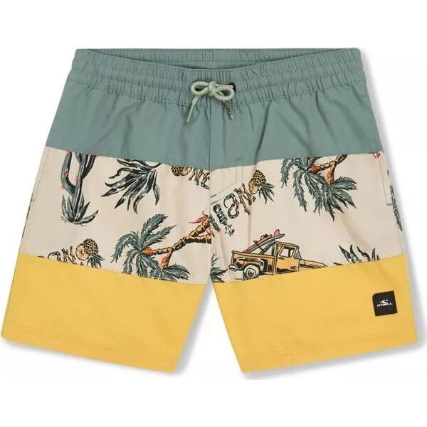 O Neill Dziecięce Szorty MIX & MATCH CALI BLOCK 13'' SWIM SHORTS