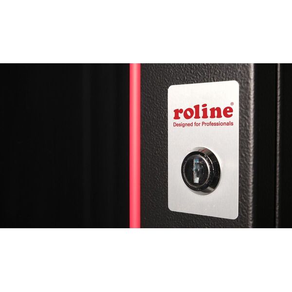 Roline ROLINE Wandgeh�use Pro 48,26cm 19Zoll 9 HE 450x600 BxT schwarz