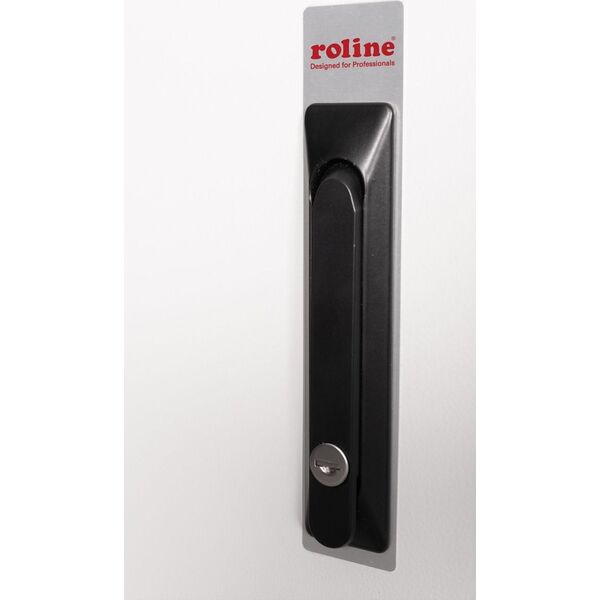 ROLINE Wandgeh�use Pro 48,26cm 19Zoll 12 HE 600x450 BxT IP55 outdoor grau