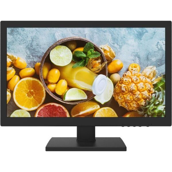 Monitor Hikvision DS-D5019QE-B