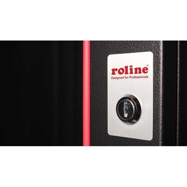 Roline ROLINE Wandgeh�use Pro 48,26cm 19Zoll 12 HE 600x600 BxT schwarz