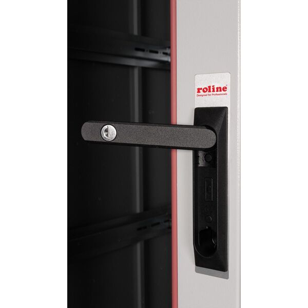 Szafa Roline ROLINE Netzwerkschrank Pro 48,26cm 19Zoll 42 HE 800x1000 BxT Glast�r grau