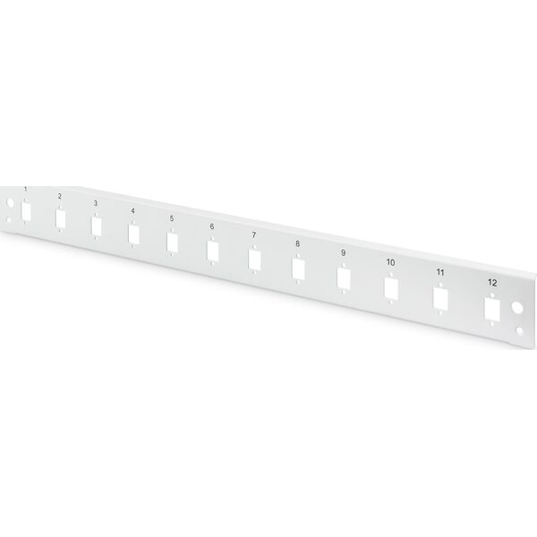 Digitus Digitus Πρόσοψη για πάνελ οπτικών ινών 12x LC duplex 1U (για DN-96200-QL), γκρι