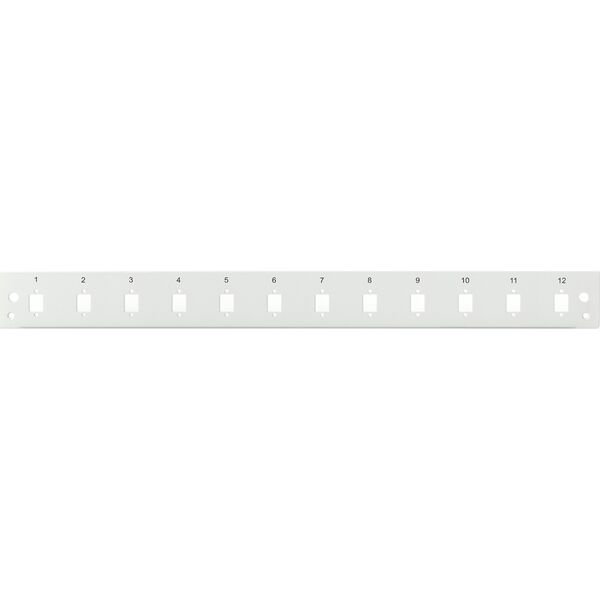 Digitus Digitus Πρόσοψη για πάνελ οπτικών ινών 12x LC duplex 1U (για DN-96200-QL), γκρι