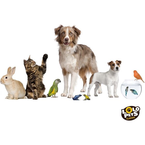 Panama Pet Panama Μπολ πουλιού Pet 0,84 l, κρεμαστό 6457183 5904479515148